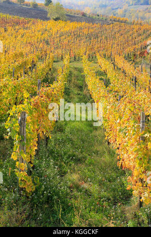 The landscape of the hills of the Oltrepo Pavese, you can see the hills where it is produced the wine of high quality Stock Photo