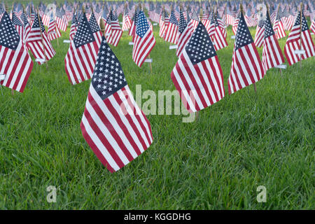 Thousands of american flags set up in a field as a 9/11 memorial Stock Photo