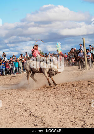 Gaucha, traditional sport, Vallecito, San Juan Province