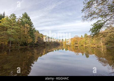 Autumn at  Speech House Lake, Forest of Dean, Herefordshire, England, UK Stock Photo