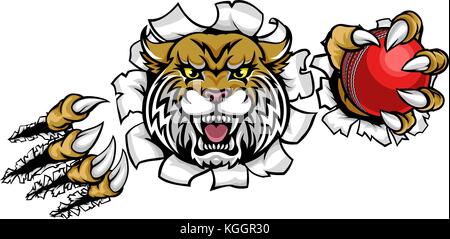 Wildcat Holding Cricket Ball Breaking Background Stock Vector