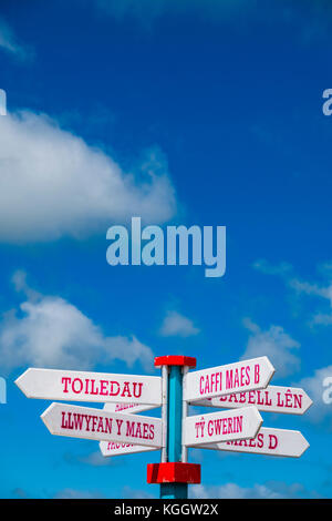 Signs and banners at The National Eisteddfod of Wales, 2017. The eisteddfod is a peripatetic annual festival of music, poetry, theatre dance and literature, visiting sites in north and south Wales on alternate years. Always held on the first whole week of August, the Eisteddfod  is the highlight of the welsh language social and cultural calendar Stock Photo