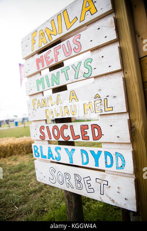 Signs and banners at The National Eisteddfod of Wales, 2017. The eisteddfod is a peripatetic annual festival of music, poetry, theatre dance and literature, visiting sites in north and south Wales on alternate years. Always held on the first whole week of August, the Eisteddfod  is the highlight of the welsh language social and cultural calendar Stock Photo