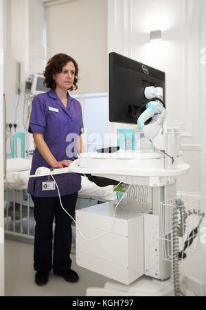 Nurse Searching Computer Nurses looking at computer Stock Photo - Alamy