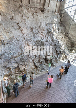 Visitors Center, Dinosaur National Monument, CO Stock Photo