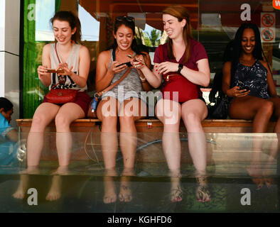 Foot Pedicure by Doctor Fish in Bali, Indonesia. Stock Photo