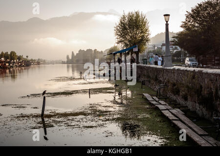 Sunrise over Dal Lake Stock Photo