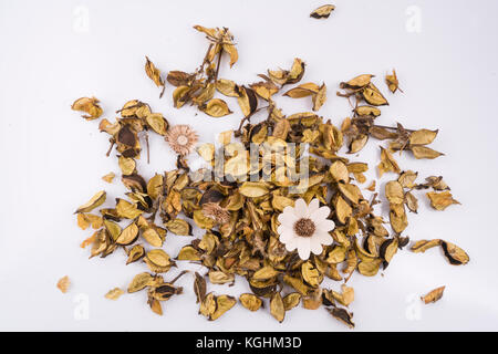 a composition of dried flower decorative leaves Stock Photo