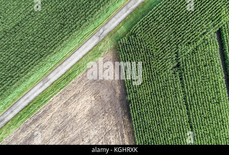 Abstract aerial photograph of the drone, harvested arable land next to a corn field Stock Photo