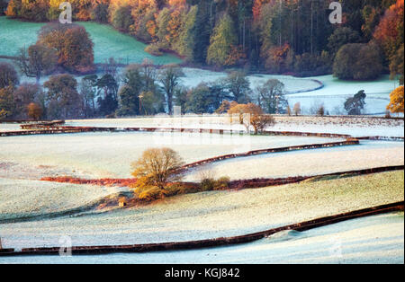 Flintshire, North, UK. 8th Nov, 2017. UK Weather. A cold frosty start for some today after a day's rain yesterday and clearing skies for the rest of the day. A frozen rural landscape with autumn colours still visible in the trees near the village of Rhosesmor, Flintshire Credit: DGDImages/Alamy Live News Stock Photo