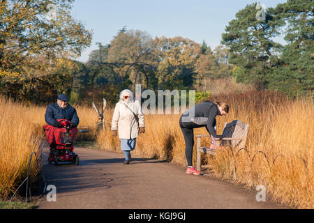 Trentham Gardens, woods and parkland in Stoke-on-Trent. UK Weather. November, 2017.  In Trentham Gardens is the mile long, Capability Brown designed, Trentham Lake with a the circular lakeside walk all the way round as it takes you aside the River Trent, Credit: MediaWorldImages/Alamy Live News Stock Photo