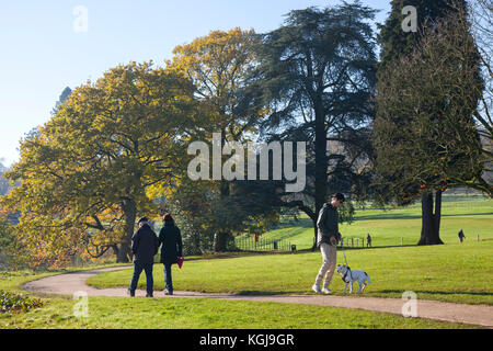 Stoke-on-Trent. UK Weather. 8th November, 2017. Bright sunny start to the Autumn day in Trentham Gardens, woods and parkland. Trentham Gardens is the mile long, Capability Brown designed landscape & Trentham Lake with a the circular lakeside walk all the way round as it takes you aside the River Trent, Stock Photo