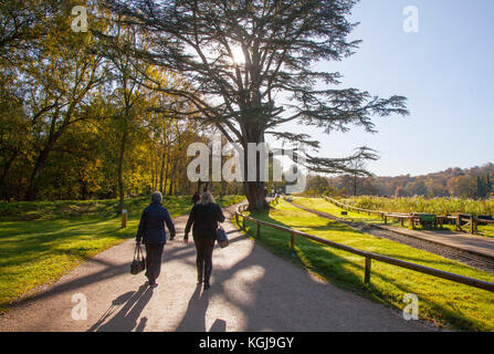 Stoke-on-Trent. UK Weather. 8th November, 2017. Bright sunny start to the Autumn day in Trentham Gardens, woods and parkland. Trentham Gardens is the mile long, Capability Brown designed landscape & Trentham Lake with a the circular lakeside walk all the way round as it takes you aside the River Trent, Stock Photo