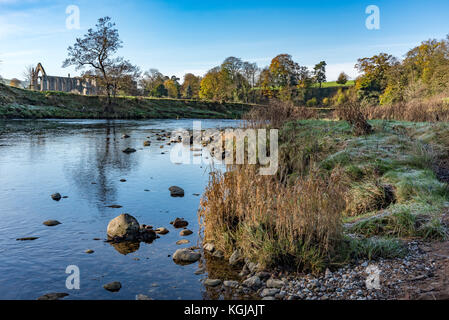 Skipton, UK. 08th Nov, 2017. A frosty morning at Bolton Abbey, Skipton, North Yorkshire. Credit: John Eveson/Alamy Live News Stock Photo