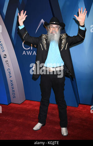 Nashville, Tennessee, USA. 8th Nov, 2017. Cyril 51st Annual CMA Awards, Country Music's Biggest Night, held at Music City Center. Credit: Laura Farr/AdMedia/ZUMA Wire/Alamy Live News Stock Photo