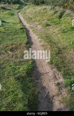 Footpath leading into the distance - metaphor for career path, making tracks, stay on the right path, long road ahead metaphor etc. Stock Photo