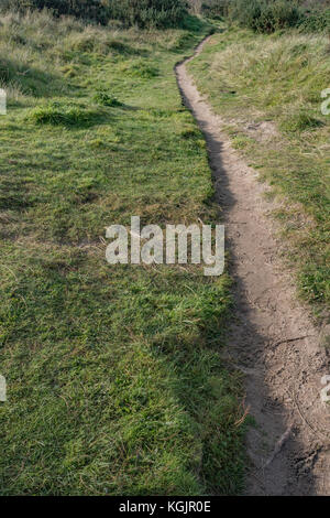 Footpath leading into the distance - metaphor for career path, making tracks, stay on the right path, long road ahead metaphor etc. Stock Photo