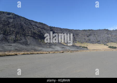 Burn Forest in Mount Bromo National Park, East Java, Indonesia Stock Photo