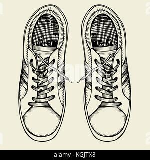 Vector Sketch Illustration, Pair of Skaters Shoes. Top View Stock ...