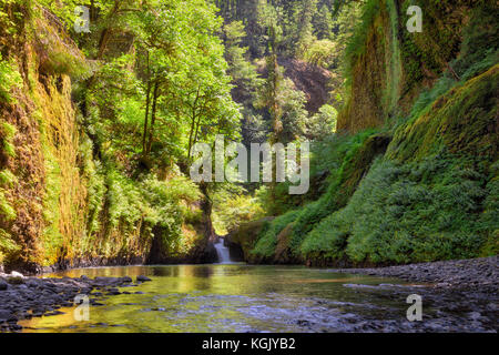Waterfall along Eagle Creek in Columbia River Gorge on a sunny day in summer Stock Photo