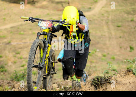 Horizontal photo of an enduro mountain biker pulling his bike uphill during a race Stock Photo