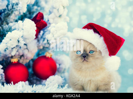 Christmas scene. Little kitten wearing Santa Claus hat sitting on fluffy blanket near decorated fir tree Stock Photo