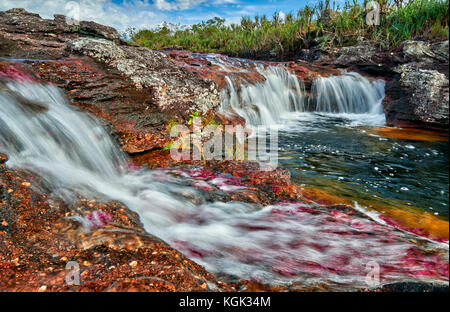 Cano Cristalitos near Cano Cristales called the 'River of Five Colors' or the 'Liquid Rainbow', Serrania de la Macarena, La Macarena, Colombia Stock Photo