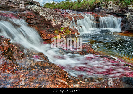 Cano Cristalitos near Cano Cristales called the 'River of Five Colors' or the 'Liquid Rainbow', Serrania de la Macarena, La Macarena, Colombia Stock Photo