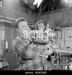 Davy (1958) , Harry Secombe Stock Photo