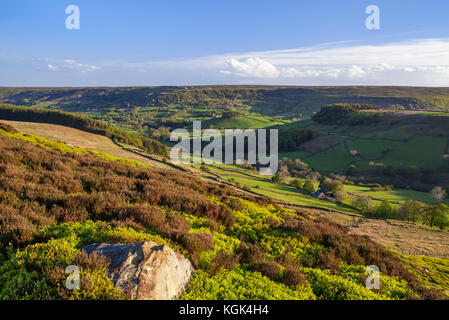 North Dale  Rosedale North York Moors national park North Yorkshire Stock Photo