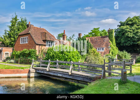 Flowers On The Water Berkshire UK Stock Photo