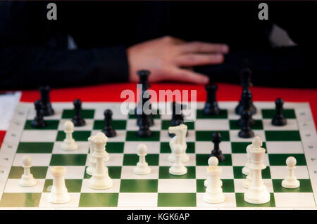 Friendly Games at a Local Chess Club Stock Photo