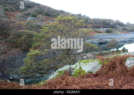 Snowdonia National Park, Llanderis Wales Stock Photo