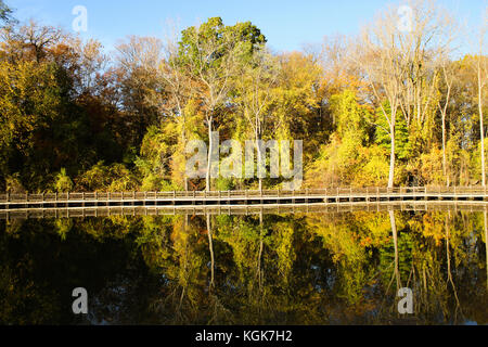 Autumn leaves in Michigan reflecting off of an inland lake in November Stock Photo