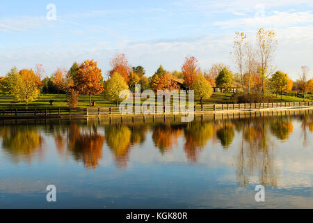 Autumn leaves in Michigan reflecting off of an inland lake in November Stock Photo