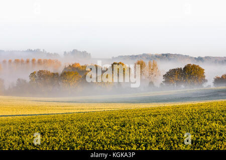 River mist hanging in landscape - France. Stock Photo