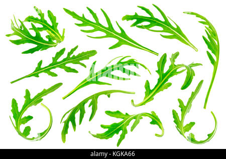 Rucola or arugula leaves isolated on white background. Big collection Stock Photo