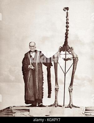 Sir Richard Owen KCB FRMS FRS (1804 – 1892) with a giant moa skeleton, c1879. Owen was an English biologist, comparative anatomist and paleontologist who was an opponent of Charles Darwin's theory of natural selection. He is also remembered today for coining the word Dinosauria (from which we get Dinosaur). Stock Photo