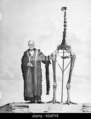 Sir Richard Owen KCB FRMS FRS (1804 – 1892) with a giant moa skeleton, c1879. Owen was an English biologist, comparative anatomist and paleontologist who was an opponent of Charles Darwin's theory of natural selection. He is also remembered today for coining the word Dinosauria (from which we get Dinosaur). Stock Photo