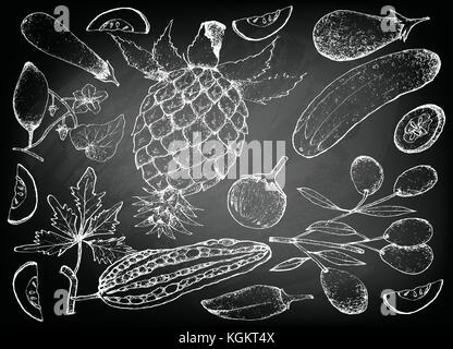 Vegetable and Herb, Illustration of Hand Drawn Sketch Delicious Fresh Gourd and Squash Isolated on Black Chalkboard. Stock Vector