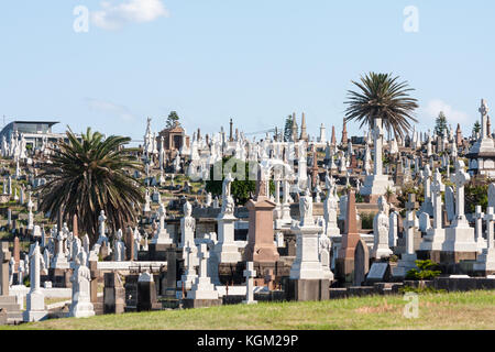 Graves in Waverley cemetery, Bronte, Sydney, NSW, New South Wales, Australia Stock Photo