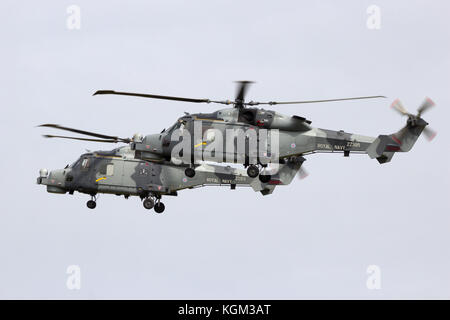 LEEUWARDEN, THE NETHERLANDS - JUN 10, 2016: British Royal Navy AgustaWestland AW159 Wildcats helicopters in flight Stock Photo