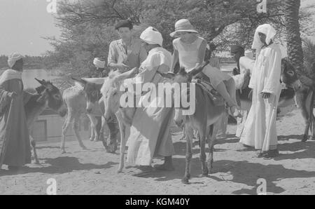 Death on the Nile (1978) , Jon Finch     Date: 1978 Stock Photo