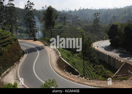 Hill Country Central Province Sri Lanka Winding Road and Tea Plantations near Hatton