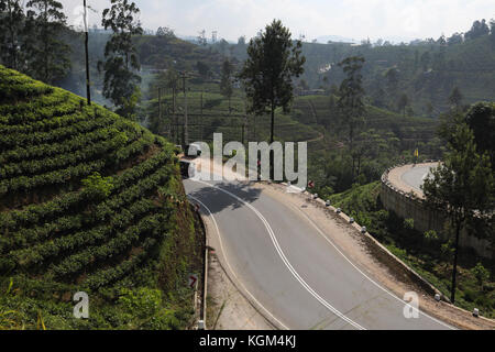 Hill Country Central Province Sri Lanka Winding Road and Tea Plantations near Hatton