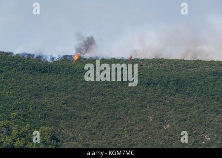 burning bushes in the hills Stock Photo