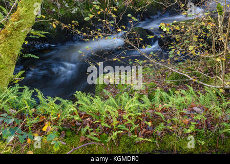 Waterfalls at Kirkconnel Linn, near Ringford, Dumfries & Galloway, Scotland Stock Photo