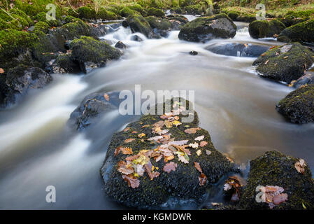 Waterfalls at Kirkconnel Linn, near Ringford, Dumfries & Galloway, Scotland Stock Photo