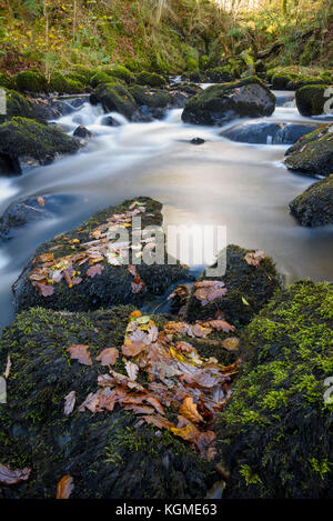 Waterfalls at Kirkconnel Linn, near Ringford, Dumfries & Galloway, Scotland Stock Photo