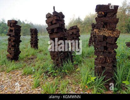 For drying puttied pierced peat bars Stock Photo